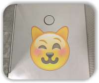 Anti-Rutsch Folie mit Digitaldruck - Strichgesicht - Lächelndes Katzengesicht